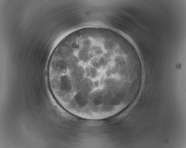 X0000116041440200912111429