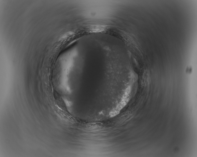 X0000116041441200912111428