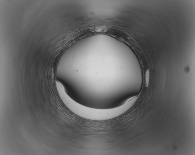 X0000116041443200912111428