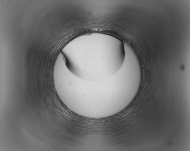 X0000116041444200912111428