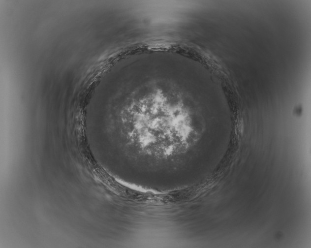 X0000116041445200912111428