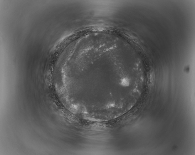 X0000116041446200912111428