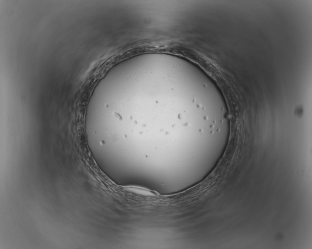 X0000116041447200912111428