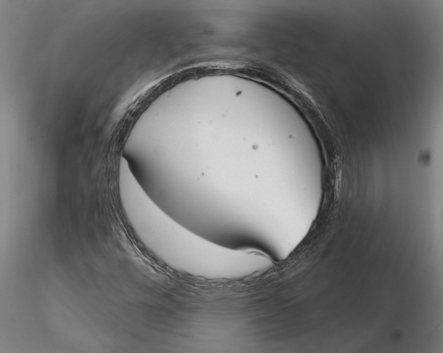 X0000116041448200912111428