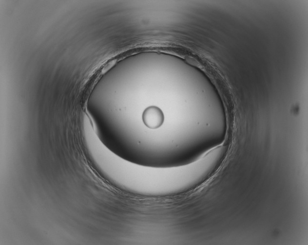 X0000116041449200912111428