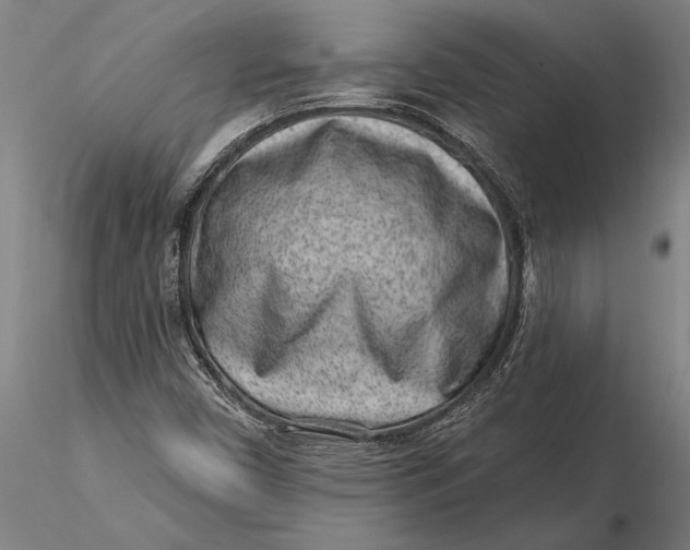 X0000116041450200912111428