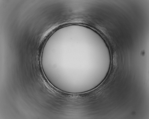 X0000116041452200912111428