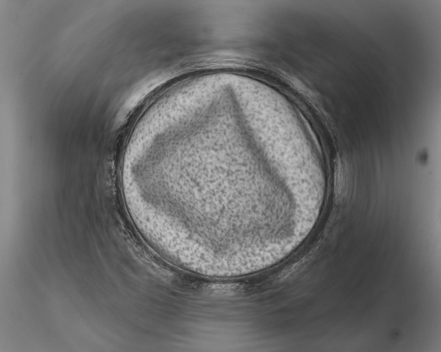 X0000116041453200912111428