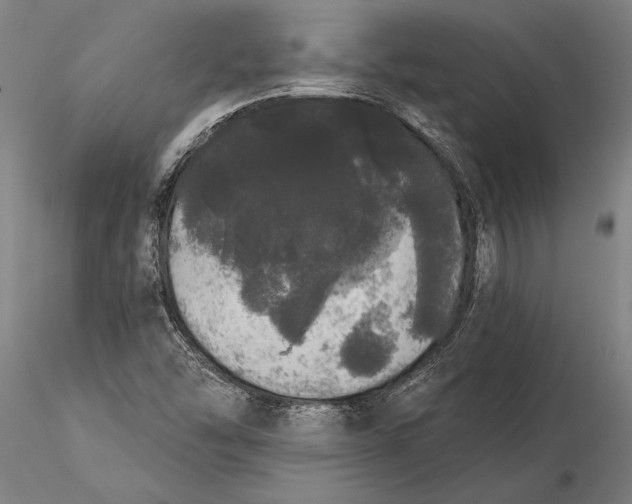 X0000116041454200912111428