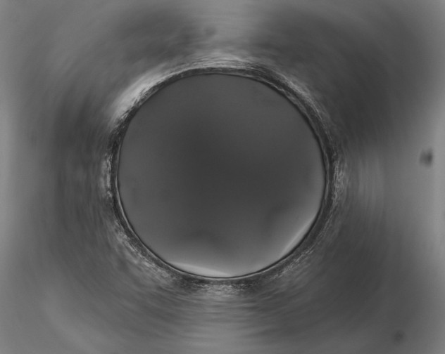 X0000116041455200912111428