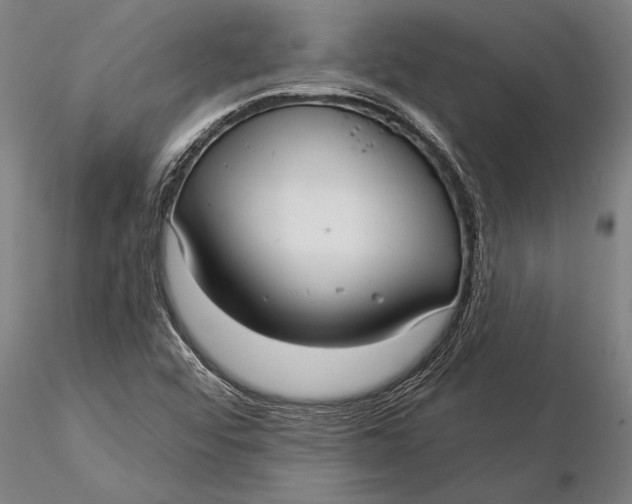 X0000116041456200912111428