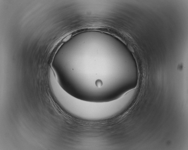 X0000116041457200912111428