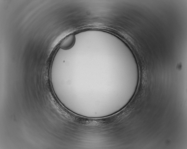 X0000116041458200912111428