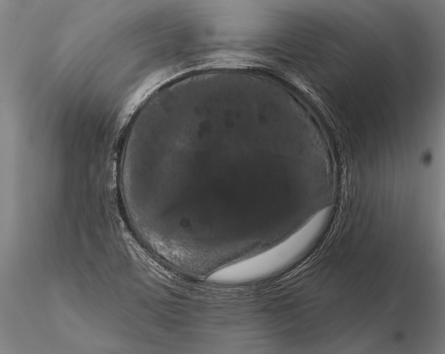 X0000116041459200912111428