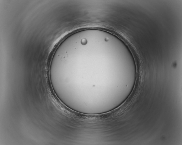 X0000116041460200912111428