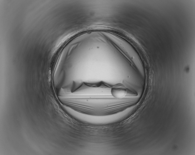 X0000116041461200912111428