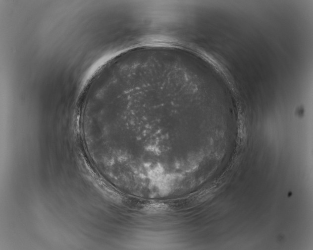 X0000116041462200912111428