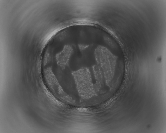 X0000116041463200912111428