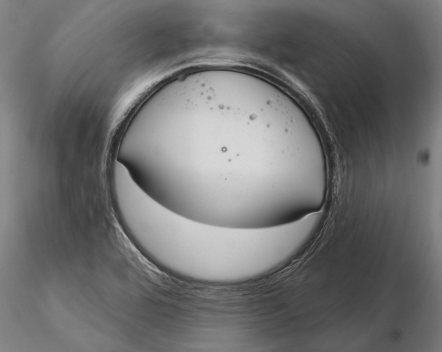 X0000116041464200912111428