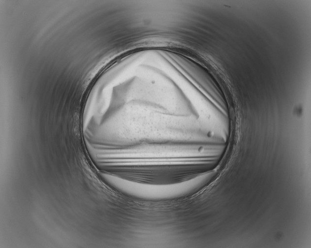 X0000116041465200912111428