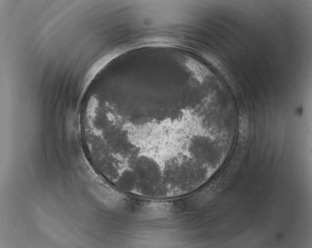 X0000116041466200912111428