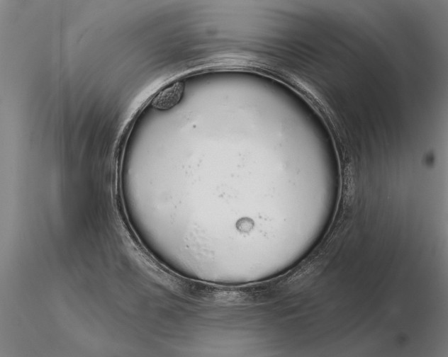 X0000116041467200912111428