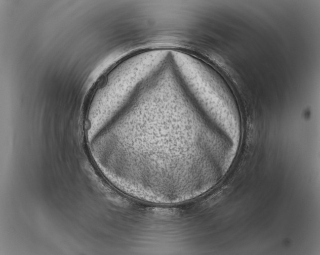 X0000116041469200912111428