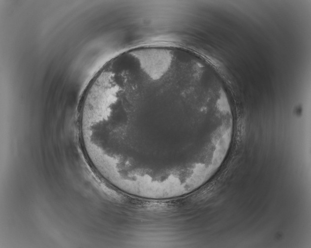 X0000116041470200912111428