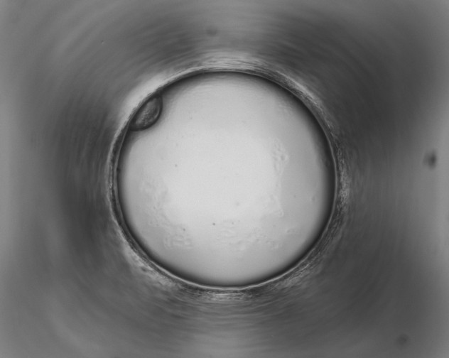 X0000116041471200912111428