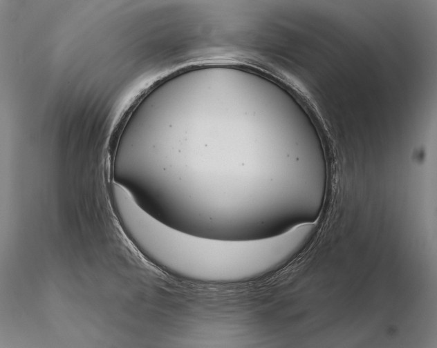 X0000116041472200912111428