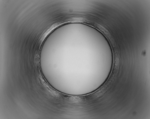 X0000116041473200912111428