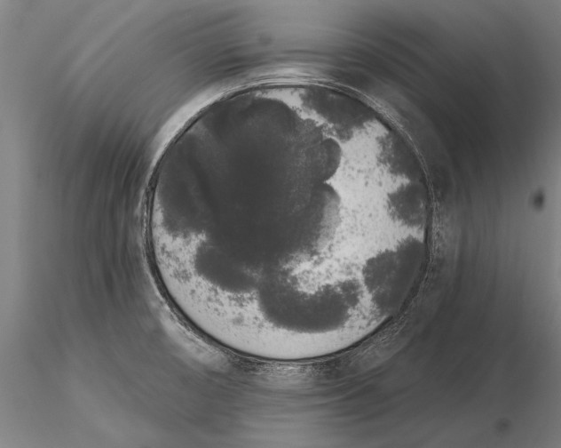 X0000116041474200912111428