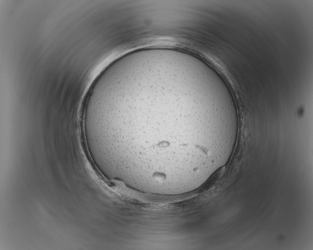 X0000116041475200912111428