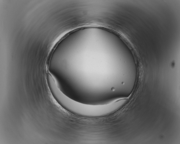 X0000116041476200912111428