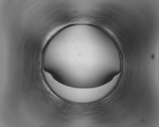 X0000116041477200912111428