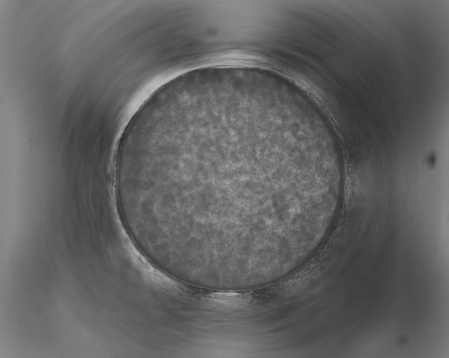 X0000116041478200912111428