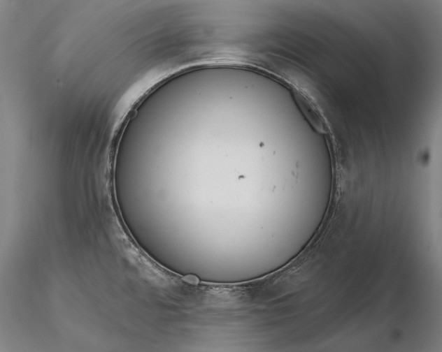 X0000116041480200912111428