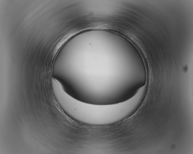 X0000116041481200912111428