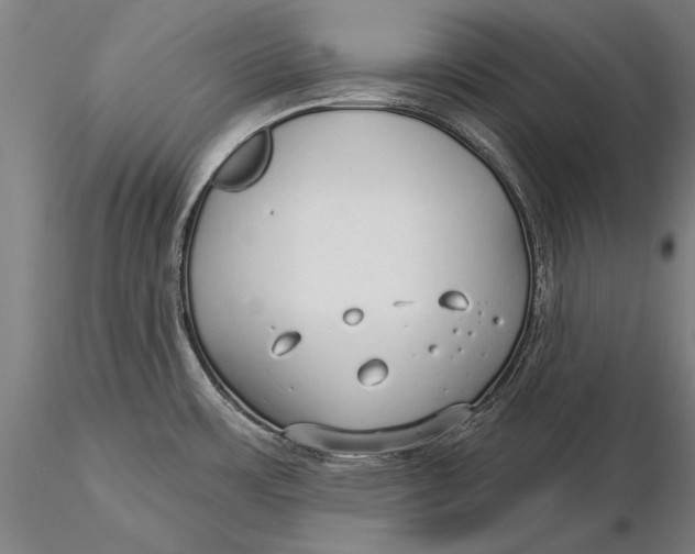 X0000116041483200912111427