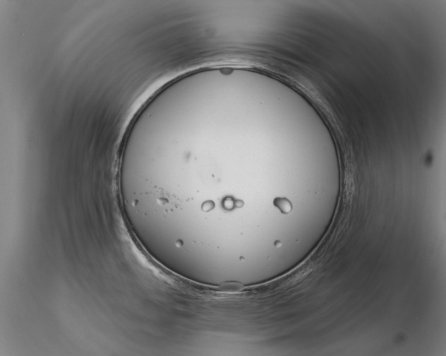 X0000116041484200912111427