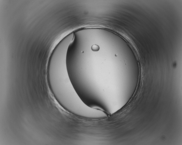 X0000116041485200912111427