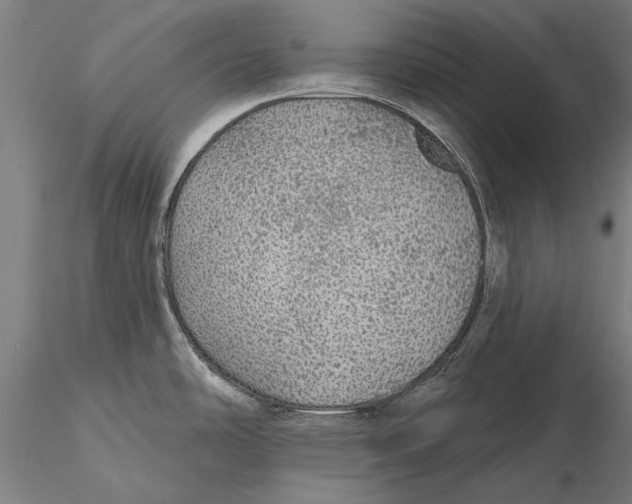 X0000116041486200912111427