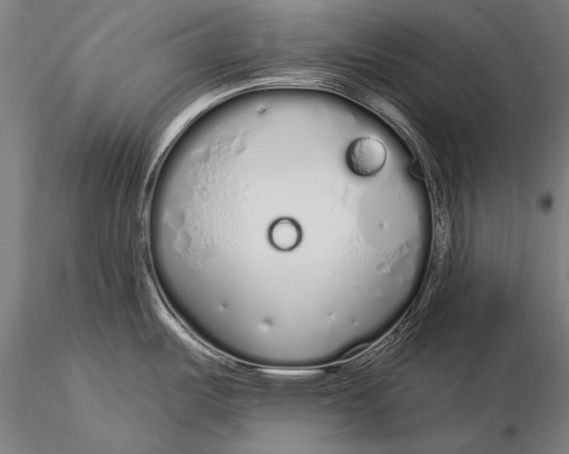 X0000116041487200912111427