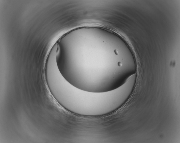 X0000116041488200912111427