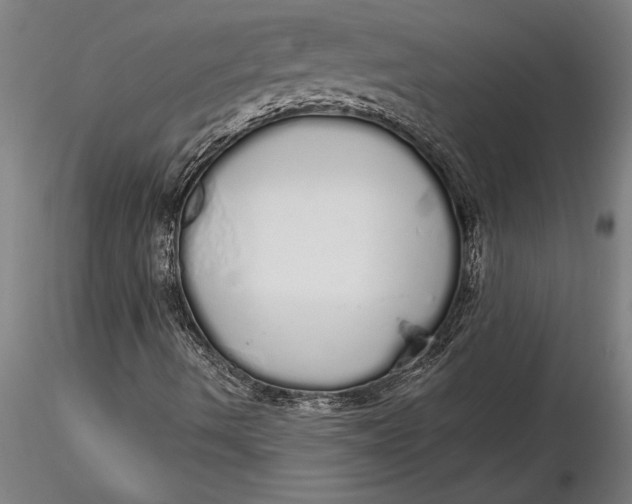 X0000116041490200912111427