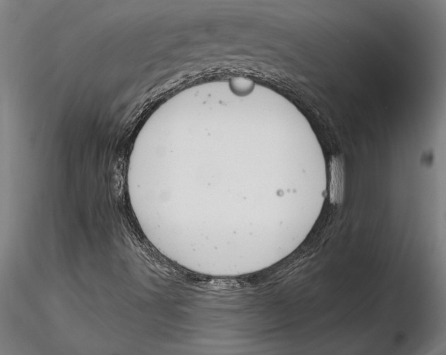 X0000116041491200912111427