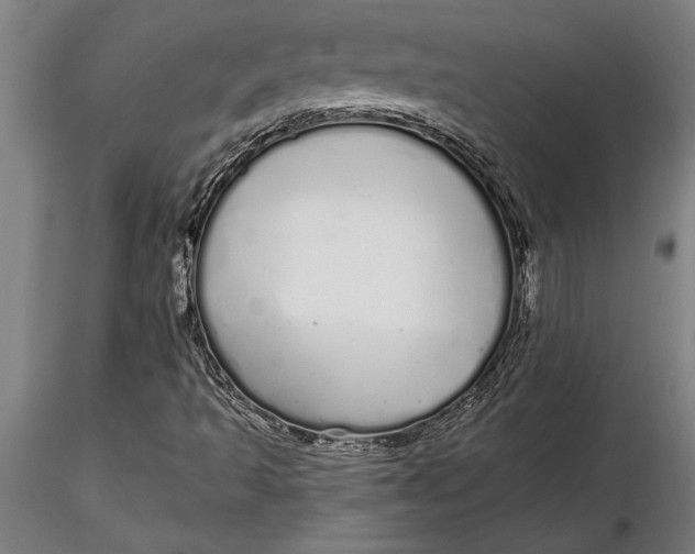 X0000116041493200912111427