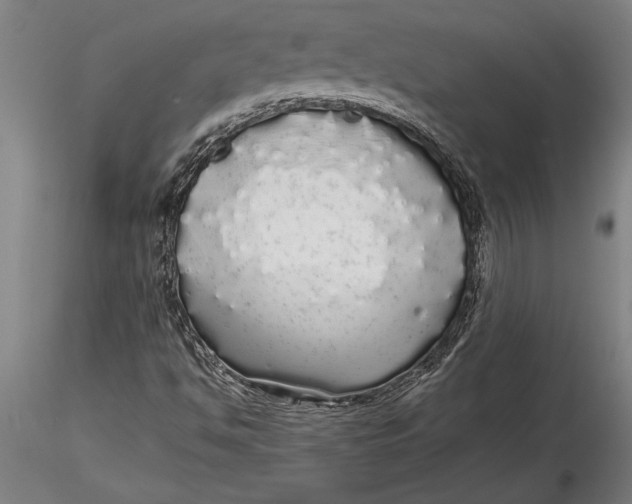 X0000116041494200912111427