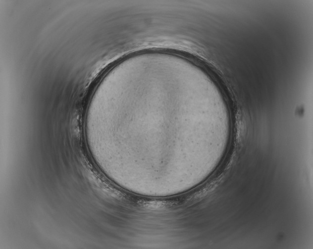 X0000116041497200912111427