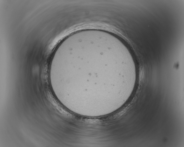 X0000116041498200912111427